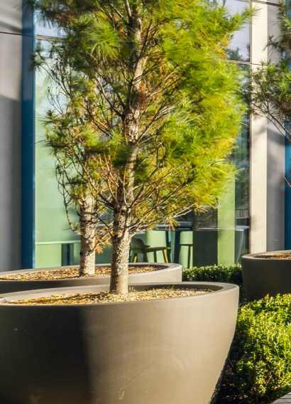 Vert, Warner Center, CA