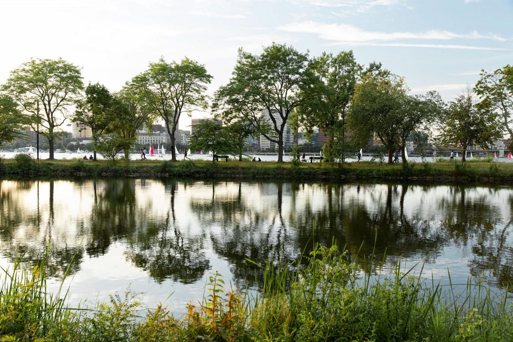 The Green Cities Company Continues to Lead the Way in ESG