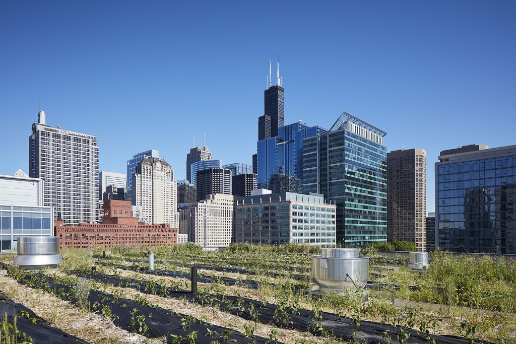 The Green Cities Company Leads with Innovation and Transparency in ﻿ESG Reporting