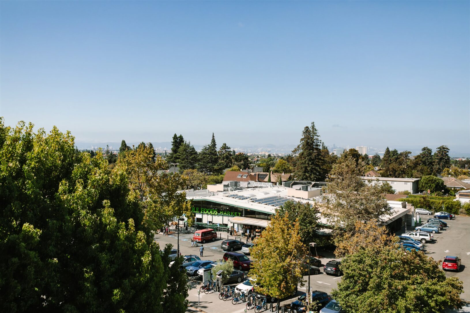 Telegraph Gardens